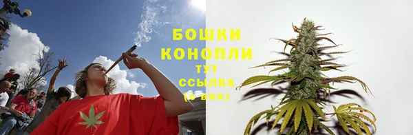 apvp Алагир