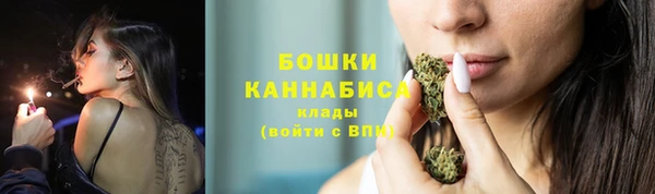 apvp Лиски